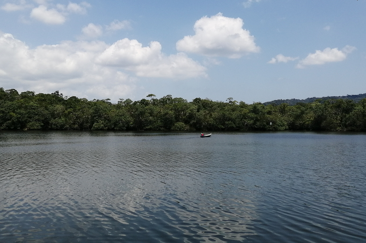 Biodiversidad, soberanía alimentaria y agua<br> 