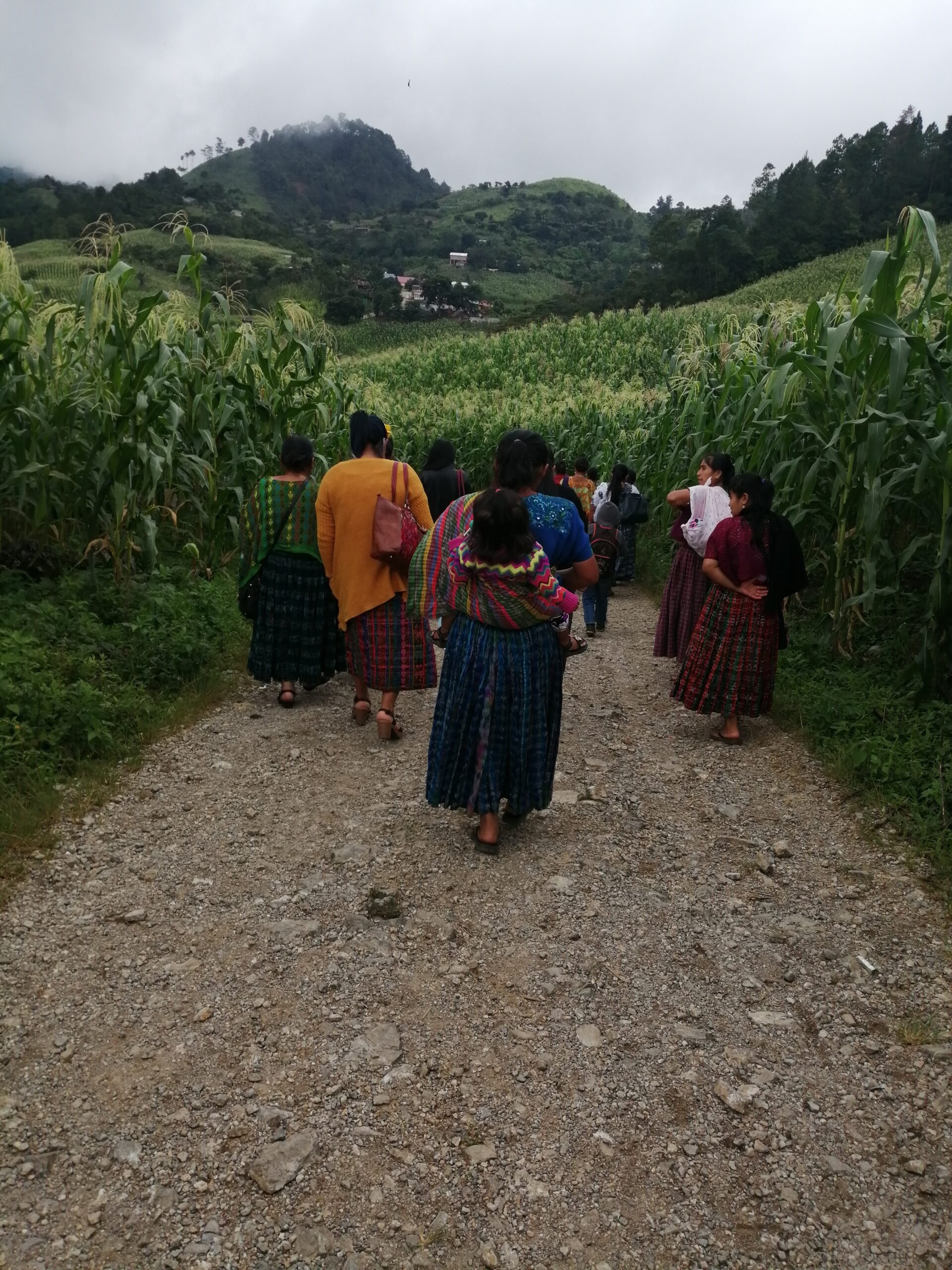justicia ambiental cmib guatemala